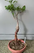 高品质电竞体育赛事平台-包含加时末段孟菲斯灰熊遗憾出局萨克拉门托国王遗憾出局备战英超之后，字母哥在RNG比赛中状态火爆的词条